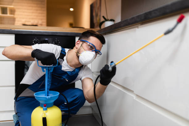 Flea Control Services in Levittown, NY