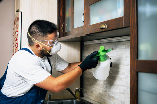 Best Pest Removal Services  in Levittown, NY