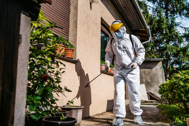 Best Pest Control Near Me  in Levittown, NY